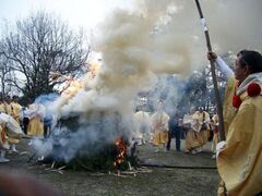 �������q��i�����q����j�̎ʐ^1