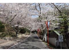 ��������̍��̎ʐ^1