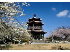 ���E�̔~�����@�ϔ~���Ԃ̎ʐ^1