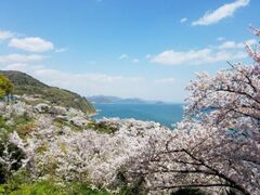 �ԕ���̍��̎ʐ^1