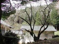 �~�ʎ��̎����̎ʐ^1