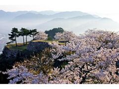 �|�c��Ղ̍��̎ʐ^1