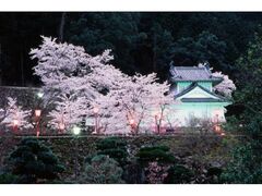 ���������܂�̎ʐ^1