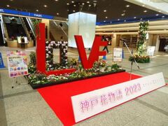 �_�ˉԕ���@�t�̎ʐ^1