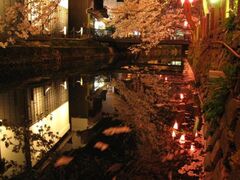 ������Ԃ̎ʐ^1