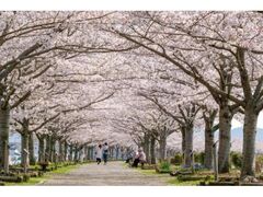 ���̍��Â݉�L�̎ʐ^1