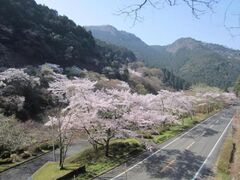 ���P������̍��̎ʐ^1