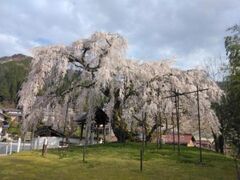 �׉_���̂�������̎ʐ^1