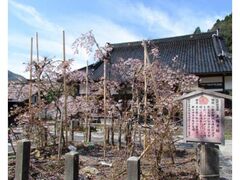 ���������̎ʐ^1