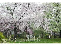 ���{�s�k�R�Ή��A�����̍��̎ʐ^1