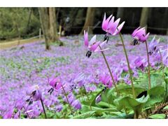 ���Z��������̗��@�J���̎ʐ^1