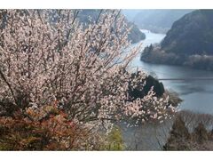 �������~�k�@�~�܂�̎ʐ^1