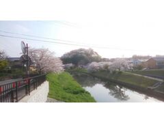 �O���R�̍��̎ʐ^1