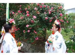 �ʗ�_�Ё@�ւ܂�̎ʐ^1