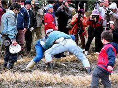 ���j�Ղ�̎ʐ^1