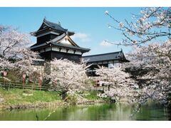 ��a�S�R����܂�̎ʐ^1