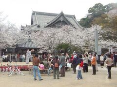 �I�O�䎛�̍��̎ʐ^1