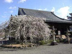 �������̍��̎ʐ^1