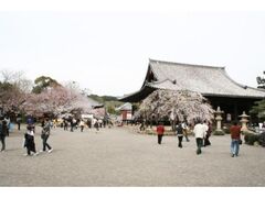 ���E���E�������̎ʐ^1