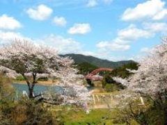 ����_���ΔȂ̍��̎ʐ^1