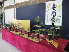 �t���W�̎ʐ^1