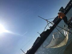 �I�B����̃V���E�I�܂�̎ʐ^1