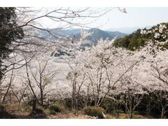 ���z���̍��̎ʐ^1