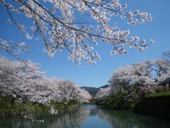 ������܂�̎ʐ^1