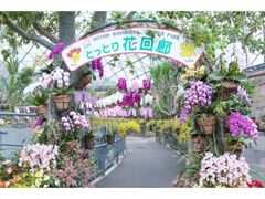 �Ƃ��Ƃ�ԉ�L�@���E�B�[�N�̎ʐ^1