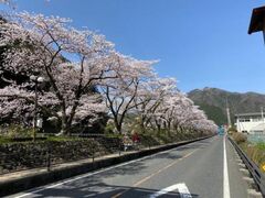 �q�����̍��y��̎ʐ^1