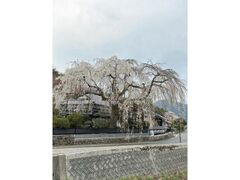 �����̑債������̎ʐ^1