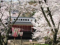 ���������̍��̎ʐ^1