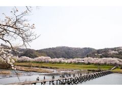 �_��s���܂�̎ʐ^1