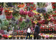 ���]�t�H�[�Q���p�[�N�@�t�C�x���g�̎ʐ^1