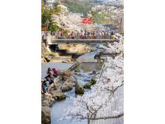 �ʑ�����@���܂�̎ʐ^1