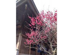 �����V���{�F�N�Ձi�~�ԍՁj�̎ʐ^1