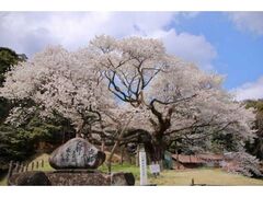 �O���啽���̊J�Ԃ̎ʐ^1