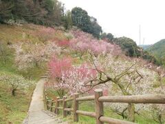 �O�������̔~�т̎ʐ^1