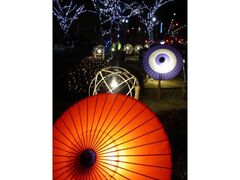 ���厛�t�@���^�W�[2026�̎ʐ^1