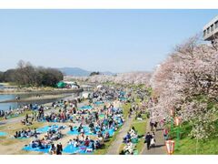 ���R������J�[�j�o���̎ʐ^1