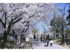 ���������̍��̎ʐ^1