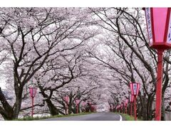 �V�̂������܂�̎ʐ^1