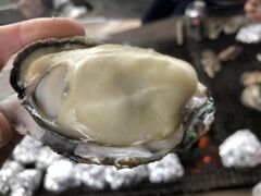 ������܃t�@�[�}�[�Y�E�}�[�P�b�g�@�m�[�X���B���b�W�@���y�Ղ�̎ʐ^1