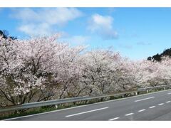 ����r�̍��̎ʐ^1