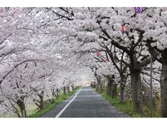 �䌴��̍��̎ʐ^1