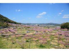 ��������̓����̎ʐ^1