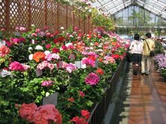 �L���s�A�������@�[���j�E���W�̎ʐ^1