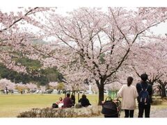 �s�[�X���[�z�[���@�o���u�[���������̍��̎ʐ^1