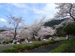 �L�����Ή��Z���^�[�@������Ղ�2026�̎ʐ^1