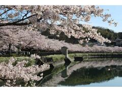 �������������܂�̎ʐ^1